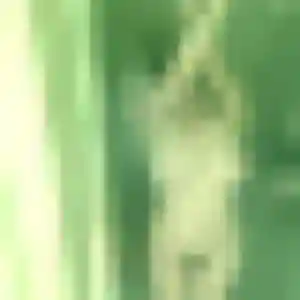 Dina (25 ans) à Cutry propose un beurette rapidement