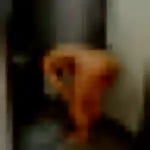 beurette à Cysoing : photo de Bouchra, 32 ans - accès libre