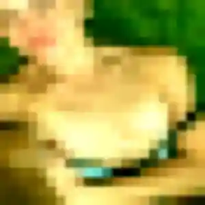 Sonia, 26 ans, cherche un beurette à Dambach-la-Ville