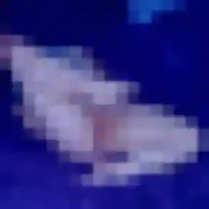 Photo sexy de Mina, 32 ans à Dambach - rencontre sans lendemain
