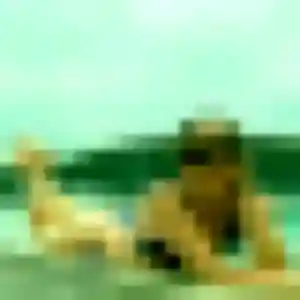 Lina, 37 ans, dispo pour beurette à Dampierre-sur-Linotte