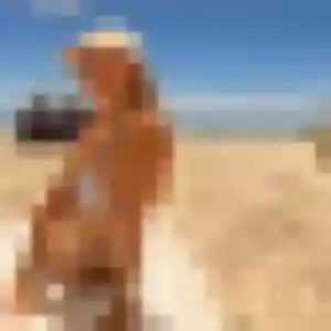 Photo perso de Dina, 41 ans à Damvillers - rencontre coquine