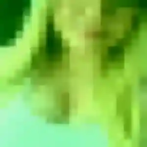 Photo perso de Lina, 41 ans à Dannemois - rencontre coquine