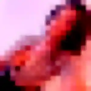 Contacte Linda, 45 ans à Dannes gratuitement