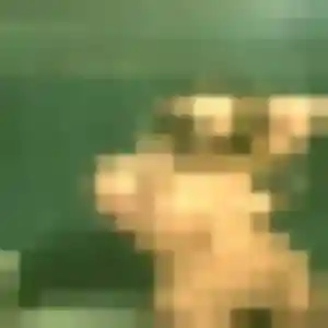 Photo privée de Ilham, 31 ans à Dauphin - plan discret