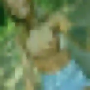 Rejoins Sarah, 40 ans à Daux en privé