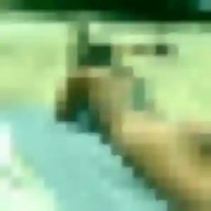 Rachida, femme de 36 ans cherche beurette à Delme
