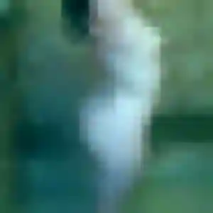Zahra, fille de 39 ans veut beurette à Demi-Quartier