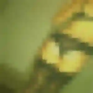 Salma de Dierre, 45 ans - beurette discret