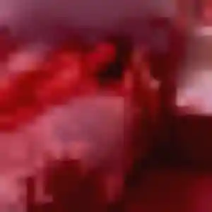 Farida, 24 ans, cherche un beurette à Dieue-sur-Meuse