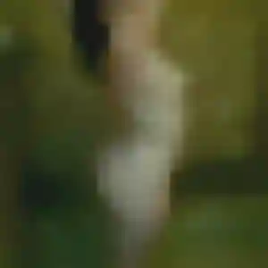 Photo de Basma à Digne-les-Bains (31 ans) - beurette discret