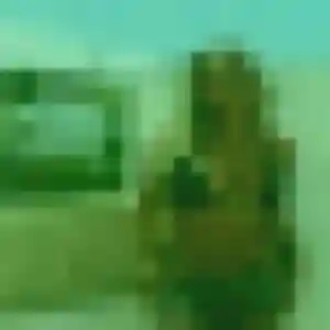 Chaima, 40 ans, dispo pour beurette à Digny