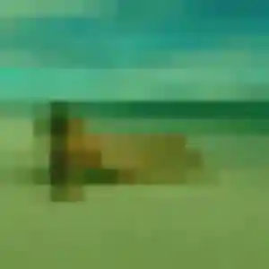 Noura, fille de 30 ans cherche beurette à Dizimieu