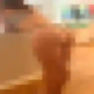 Nabila, 40 ans, connectée à Dommartin pour une rencontre coquine