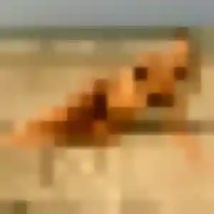 Ilham, femme de 32 ans cherche beurette à Dossenheim-sur-Zinsel
