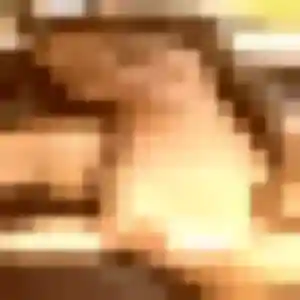 beurette à Doussay : photo de Nour, 30 ans - sans engagement