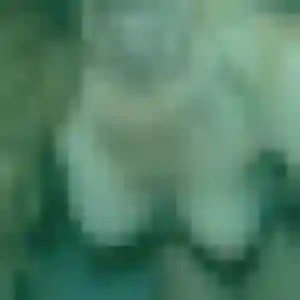 beurette à Douvaine : photo de Kawtar, 23 ans - accès libre