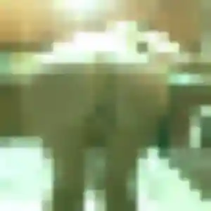 Lyna, 43 ans, cherche un beurette à Douvaine