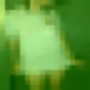 Photo exclusive de Rania, 26 ans à Dracé - plan discret