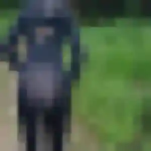 Safiya, 33 ans, en ligne à Drouvin-le-Marais pour une rencontre coquine
