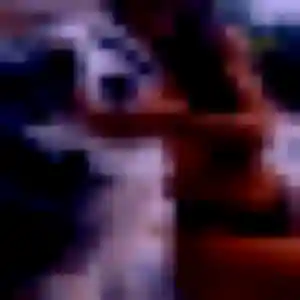 Nawal, 37 ans, connectée à Duras pour une rencontre coquine