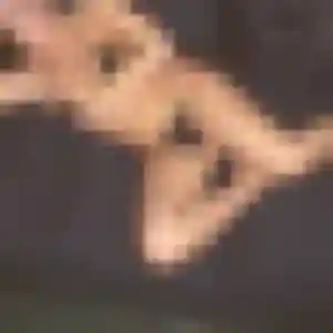 Alina, 29 ans, en ligne à Durrenbach pour un beurette