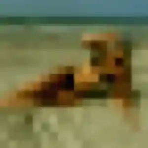 Photo exclusive de Ikram, 39 ans à Échenon - rencontre coquine