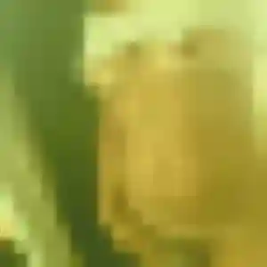 Belle Wahiba, 32 ans à Écourt-Saint-Quentin - la contacter