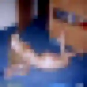 Photo de Lamia à Écouves (33 ans) - beurette gratuit