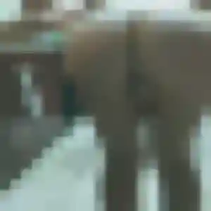 Photo de Mariam à Elzange (24 ans) - beurette discret