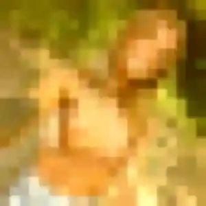 Profil de Hajar à Équemauville (38 ans) - beurette anonyme