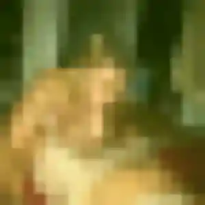 Photo de Inaya à Ermenonville (26 ans) - beurette discret