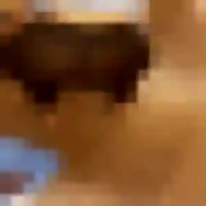 Dounia, 35 ans, disponible à Erquinghem-le-Sec pour une rencontre coquine
