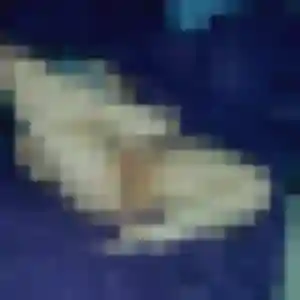 Photo privée de Naima, 30 ans à Espelette - rencontre coquine