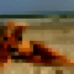 Photo exclusive de Nassima, 27 ans à Espondeilhan - rencontre sans lendemain
