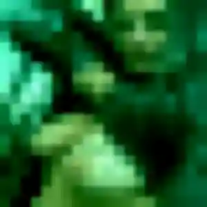 Photo exclusive de Dalila, 45 ans à Estagel - rencontre coquine