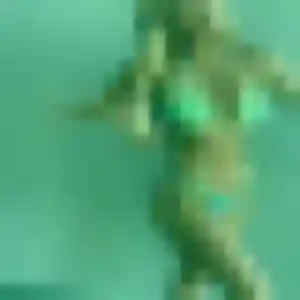 Myriam, 38 ans, cherche un beurette à Estillac