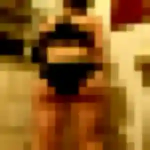 Photo de Bouchra à Étoutteville (31 ans) - beurette anonyme