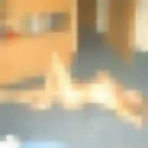 Photo exclusive de Zahra, 25 ans à Eygalières - plan discret