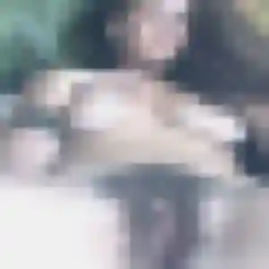 Yamina, 41 ans, dispo pour beurette à Falleron