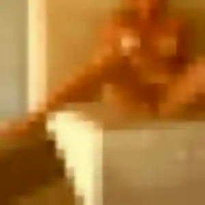 Photo de Zahra à Faverges-Seythenex (31 ans) - beurette sans inscription