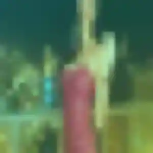 Nesrine, femme de 41 ans cherche beurette à Férel