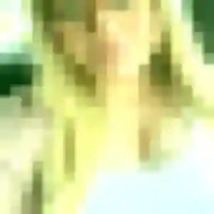 Safia, femme de 41 ans cherche beurette à Feuquières-en-Vimeu