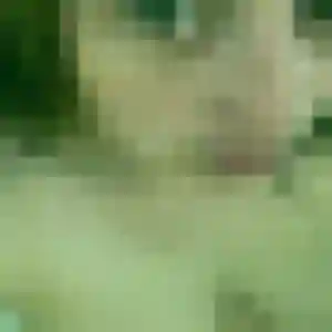 Photo exclusive de Assia, 32 ans à Fiquefleur-Équainville - rencontre coquine