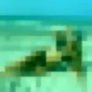 beurette à Flaujagues : photo de Amel, 42 ans - accès libre