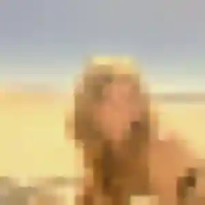Belle Ahlam, 44 ans à Flavy-le-Martel - la contacter