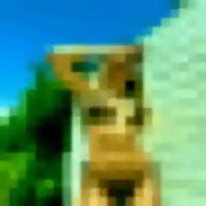 Photo exclusive de Mina, 25 ans à Folschviller - rencontre coquine