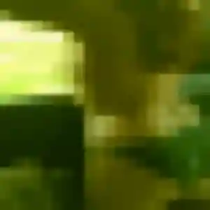 Photo de Chaima à Fontaine-le-Dun (34 ans) - beurette gratuit
