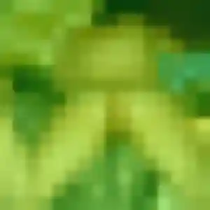 Profil de Nabil à Fontenay-Trésigny (36 ans) - beurette sans inscription