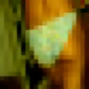 Photo privée de Sanaa, 26 ans à Fort-Mahon-Plage - rencontre coquine
